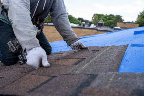 Best Storm Damage Roof Repair  in Dana, NC