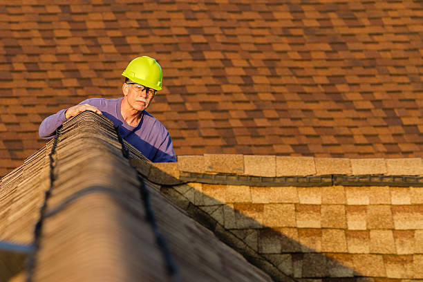 Best Roof Replacement Cost  in Dana, NC